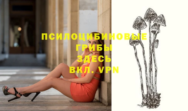 дурь Баксан