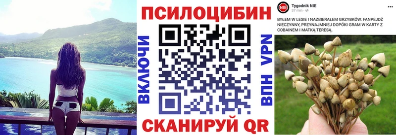 Галлюциногенные грибы GOLDEN TEACHER  Торопец 